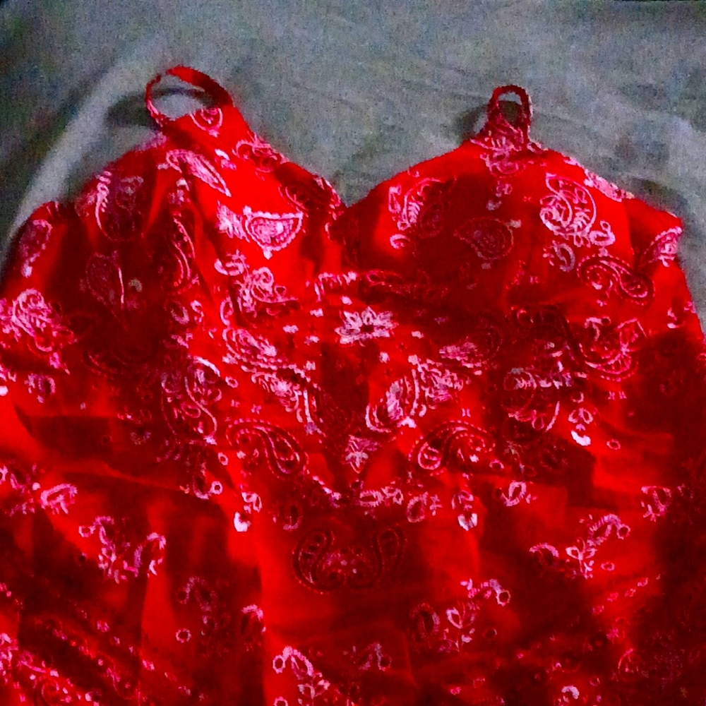 Red crop shirt